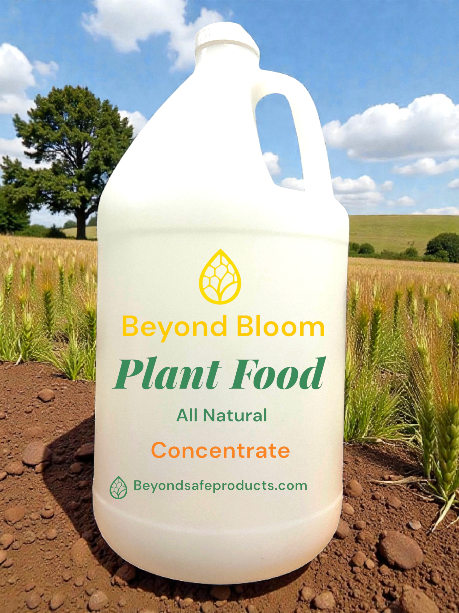 fertilizer to make plants bloom ⭐ Beyond Bloom™ Plant Food Concentrate