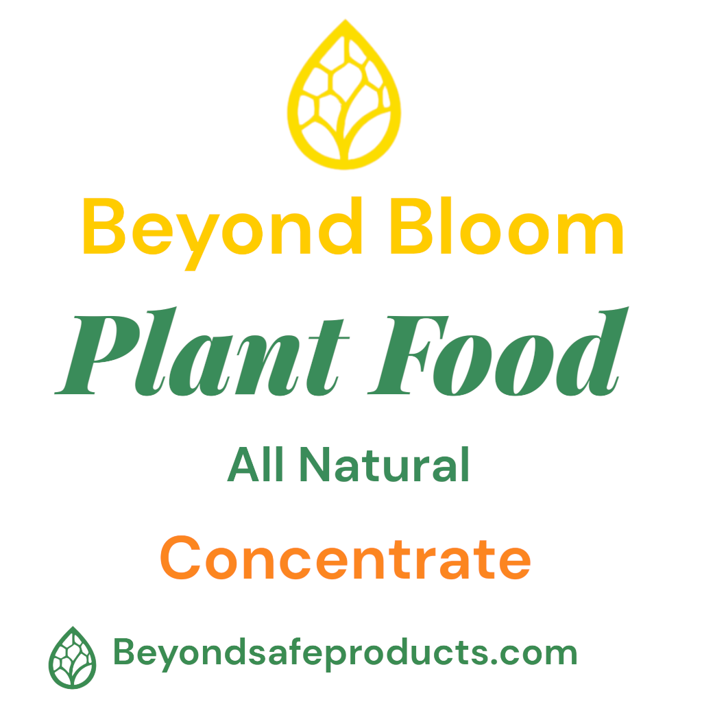 ⭐ Beyond Bloom™ Plant Food Concentrate | Nano-Technology All-Natural Fertilizer | Eco-Friendly, Biodegradable | Promotes Faster, Stronger Plant Growth & Higher Brix | By Beyond Safe Products