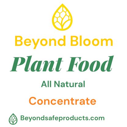 ⭐ Beyond Bloom™ Plant Food Concentrate | Nano-Technology All-Natural Fertilizer | Eco-Friendly, Biodegradable | Promotes Faster, Stronger Plant Growth & Higher Brix | By Beyond Safe Products